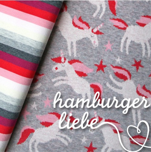 Hamburger Liebe - Limitierter Bio Regenbogenjersey rot